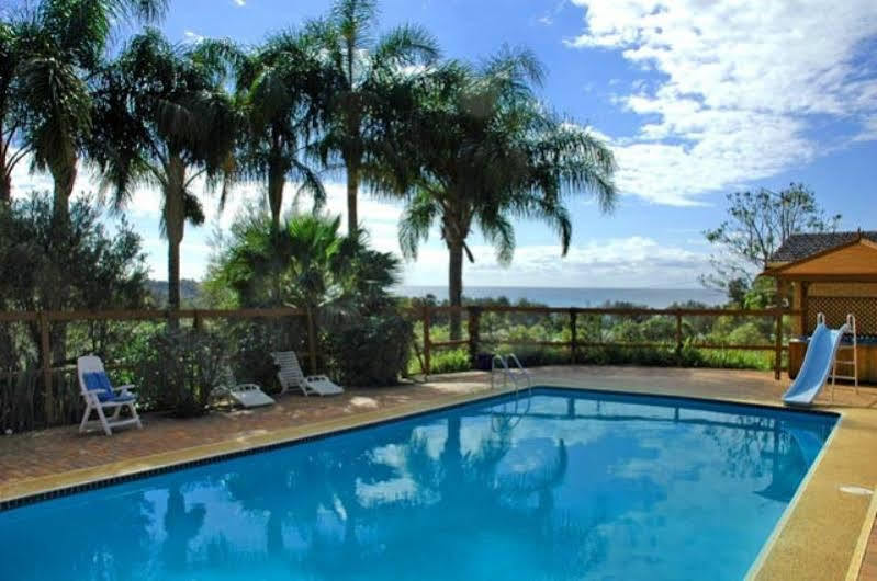 Ambience At Diggers Beach Coffs Harbour Buitenkant foto